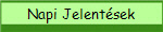Napi Jelent�sek